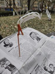 -新时模型(新街口店)