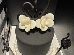-BLACKSWAN黑天鹅(环球店)