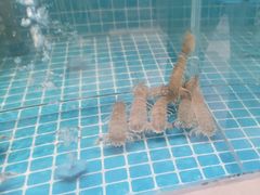 -妈妈菜舟山海鲜(定海古城店)