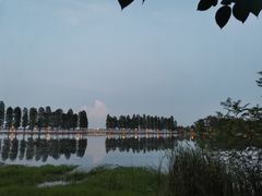 -九头鹰家宴(岳家嘴店)
