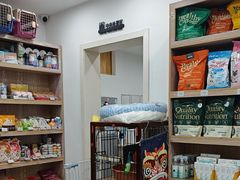 -四月宠物医院·猫专科·心脏专科·内科(转塘店)