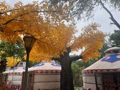 -大汗行宫园林餐厅