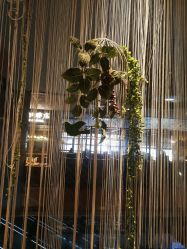 -今日陶艺(富力广场店)