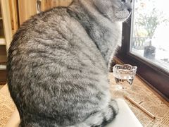 -隅cafe(傅厚岗店)