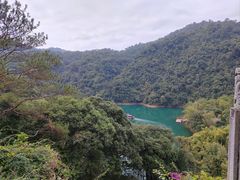 -鼎湖山风景区