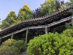 -迎泽公园