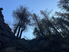 -芦芽山旅游度假区