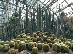 -南山植物园