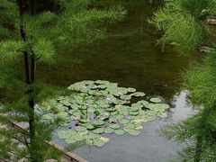-云溪植物园