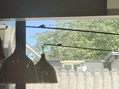 -苦尽酒馆·川菜(鼓楼店)