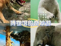 -国家自然博物馆