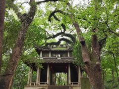 -蒋氏故居