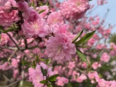 -北京西山国家森林公园