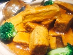 养生黑豆腐-食客堂麻婆豆腐专门店