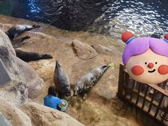 -西安曲江海洋极地公园