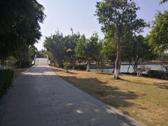 -五里桥文化公园-西侧停车场