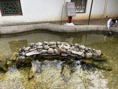 -红螺寺
