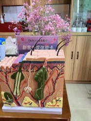 -丝客富脱发养发头皮馆