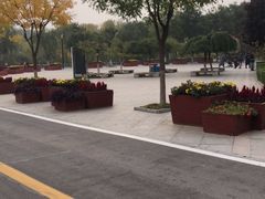 -石家庄市动物园