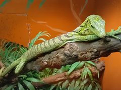 -上海大自然野生昆虫馆