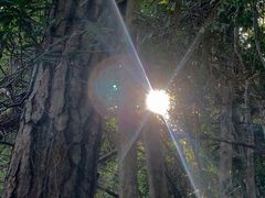 -东南悬空寺方广岩