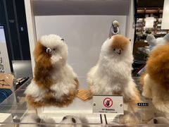 -茑屋书店(天目里店)