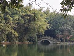 -棠湖公园