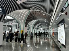 -中国湿地博物馆