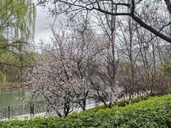 -西安汉城湖景区