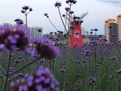 -黄河三峡风景名胜区