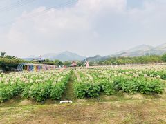 -盈香心动乐园