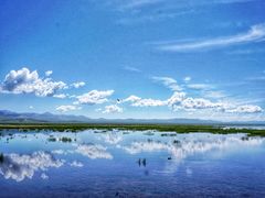-花湖生态旅游区