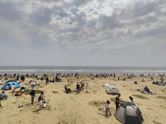-日照海滨国家森林公园