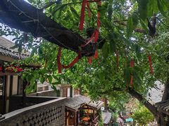 -重庆十八梯传统风貌区