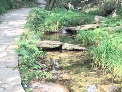 -木兰云雾山