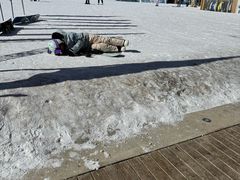 -密苑云顶乐园(云顶滑雪场)
