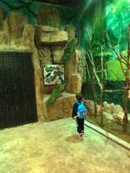 -宝燕乐园(闵行旗舰店)