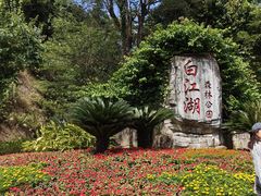 -广州白江湖森林公园