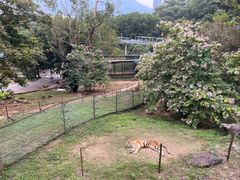-深圳野生动物园