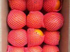 -巴厘龙虾·榜首油焖大虾(洞庭·艺术洋房店)