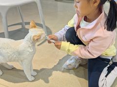 -藏猫猫咖啡主题馆(中央大道店)