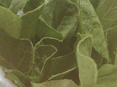 -八合里牛肉火锅(领丰汇店)