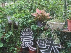 -农畉LONFOOD(福田星河COCOPark店)