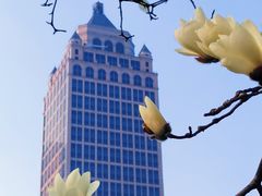 -陆家嘴中心绿地