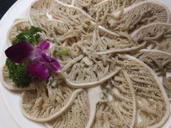 极品千层肚-红鼎坊·老成都火锅(新南门店)