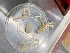 -象山小白象海鲜面