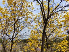 -中国移动南方基地