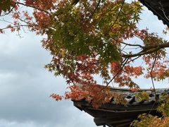 -尚湖风景区