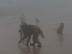 -重庆雨台山风景区