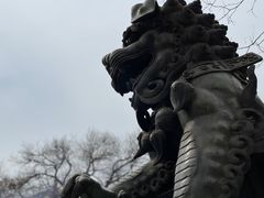 -雍和宫